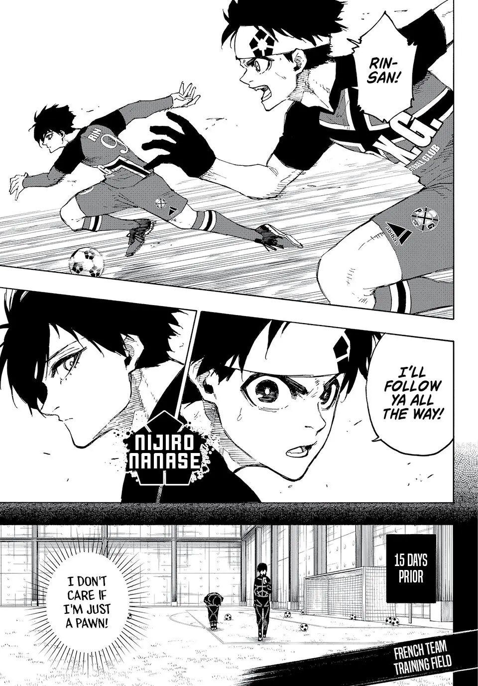 61726339 960 1378 222704